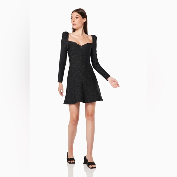 Elliatt Dresses & Skirts - Elliatt Mallory Long Sleeve Mini Dress in Blacksilver